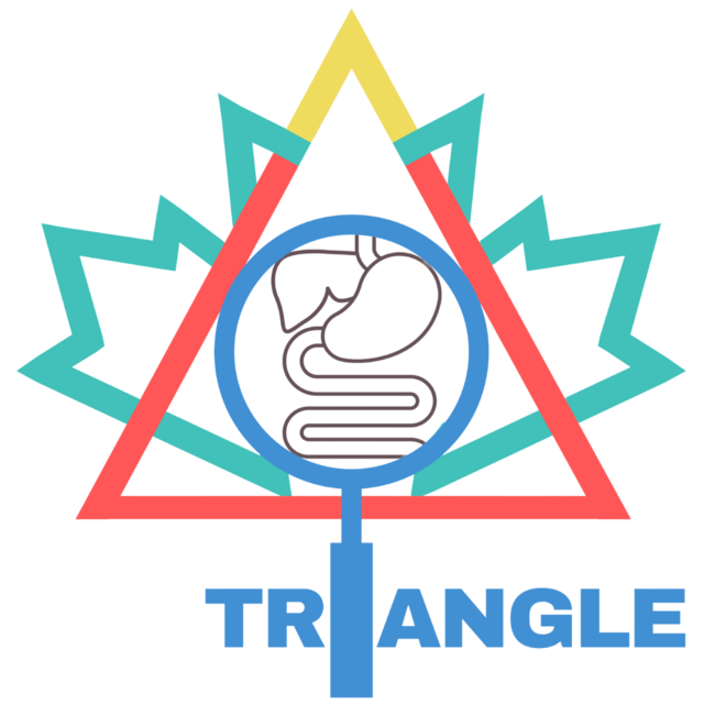 TRIANGLE logo